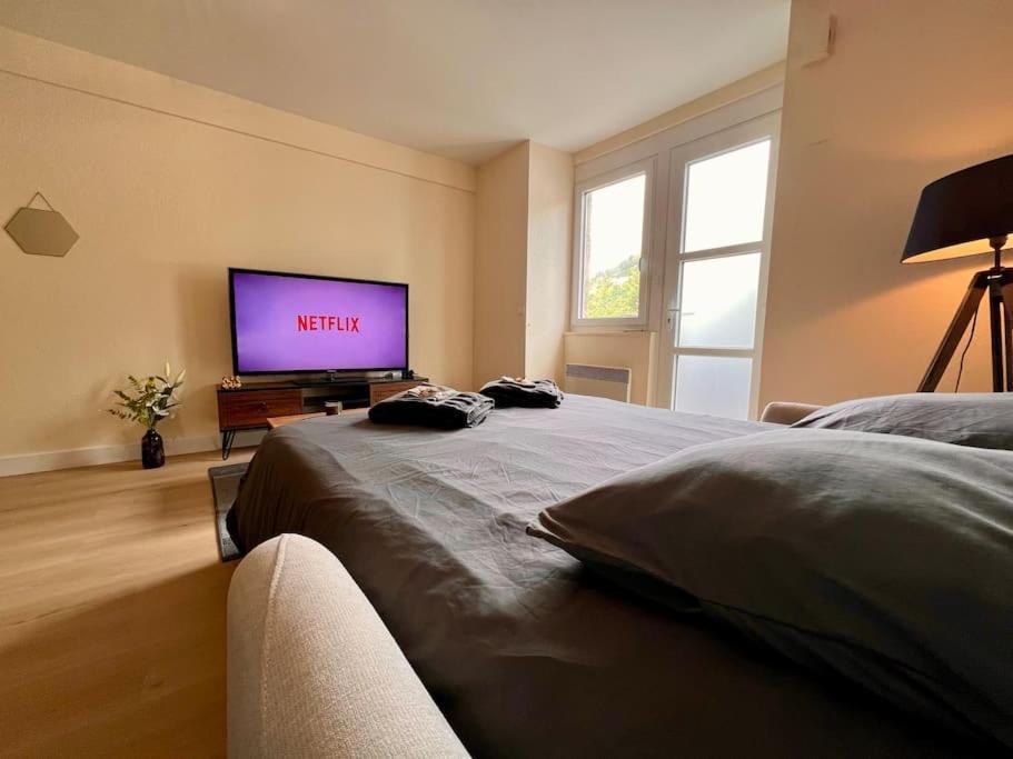 Appartement Climatise 4Prsn Au Pied De La Citadelle Besanzón Exterior foto